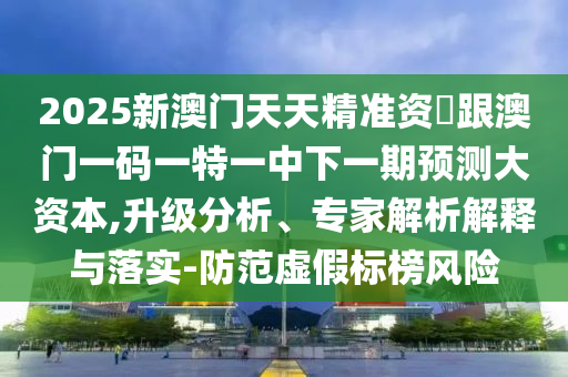 2025新澳門天天精準(zhǔn)資枓跟澳門一碼一特一中下一期預(yù)測大資本,升級分析、專家解析解釋與落實(shí)-防范虛假標(biāo)榜風(fēng)險